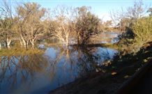 Warrawong On The Darling - Accommodation Mount Tamborine 0