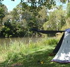 Williams River Holiday Park - Accommodation Mount Tamborine