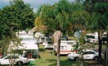 Woombah Woods Caravan Park - Accommodation Mount Tamborine 1