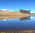 Bombala Maneroo Motel - Bombala - Accommodation Mount Tamborine