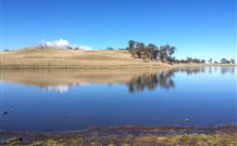 Bombala Maneroo Motel - Bombala - Accommodation Mount Tamborine 0