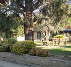 Hamilton Hume Motor Inn - Yass - Accommodation Mount Tamborine