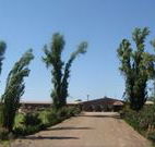 Newell Motor Inn - Narrandera - Accommodation Mount Tamborine