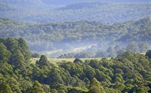 Nowendoc NSW Accommodation Mount Tamborine