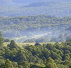 Nowendoc Country Motel - Nowendoc - Accommodation Mount Tamborine