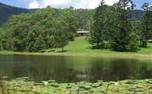 The Bushranger Hideaway - Accommodation Mount Tamborine 4