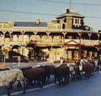 The Commercial Hotel Coonamble - Coonamble - Accommodation Mount Tamborine