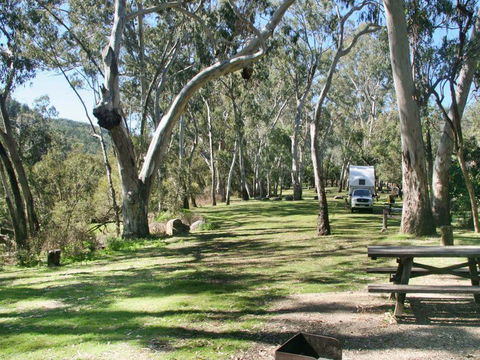 Lemon Tree Flat Campground - Accommodation Mount Tamborine 3
