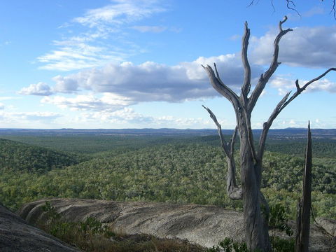 Goat Rock Camping Ground And Tourist Park - Accommodation Mount Tamborine 7