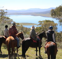 Reynella Homestead and Horseback Rides - Accommodation Mount Tamborine