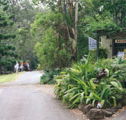 Tamborine Mountain Caravan  Camping - Accommodation Mount Tamborine