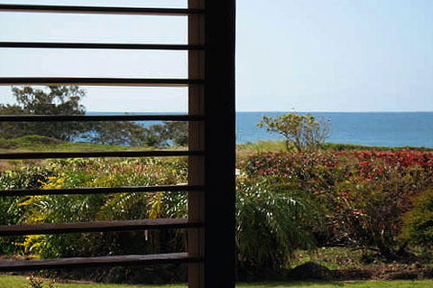 Bargara Gardens Motel And Holiday Villas - Accommodation Mount Tamborine 4