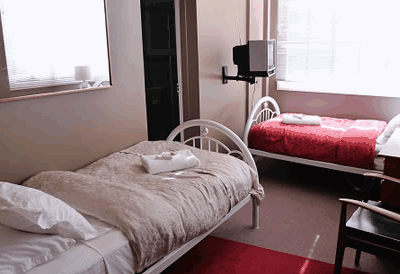 Edinburgh Gallery Bed And Breakfast - Accommodation Mount Tamborine 3