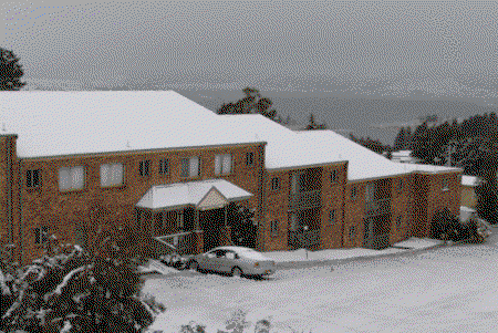 Acacia Snowy Motel - Accommodation Mount Tamborine 4
