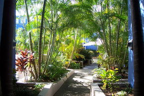 Portobello By The Sea - Accommodation Mount Tamborine 2