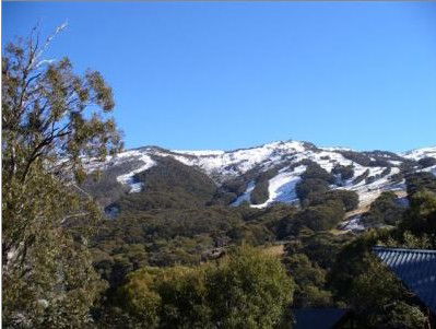 Alpenhorn Lodge - Accommodation Mount Tamborine 1