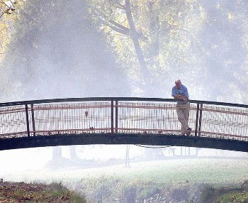 Tumbarumba Motel - Accommodation Mount Tamborine 3