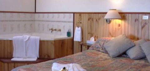 Cedar Lodge Cabins - Accommodation Mount Tamborine 2