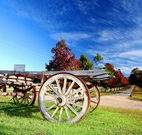 The Oaks Ranch and Country Club - Mossy Point - Accommodation Mount Tamborine