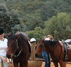 Clark Bay Cottages - Accommodation Mount Tamborine