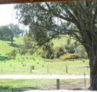 Hosanna Farm Retreat - Accommodation Mount Tamborine