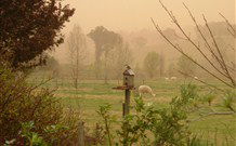 Joselands Country Accommodation - Accommodation Mount Tamborine 3
