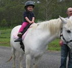 Mansfield Cottage Barrington Tops Accommodation - Accommodation Mount Tamborine
