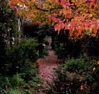 Gulgong B and B - Accommodation Mount Tamborine