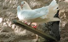 Kerrowgair Bed And Breakfast - Accommodation Mount Tamborine 1