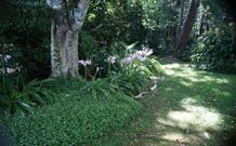 Tallawalla Retreat - Accommodation Mount Tamborine 0