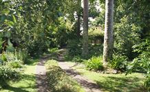 Tallawalla Retreat - Accommodation Mount Tamborine 4