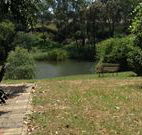 The River Bed and Breakfast - Accommodation Mount Tamborine