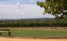 The Vineyard Motel - Accommodation Mount Tamborine 1