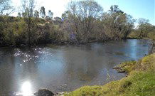 Amelies - Accommodation Mount Tamborine 4