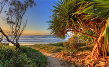 Andrea's Houses - Frangipani House - Accommodation Mount Tamborine 4