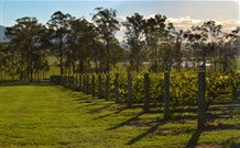 Hidden Treasure - Accommodation Mount Tamborine 0