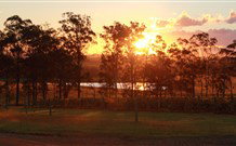 Hidden Treasure - Accommodation Mount Tamborine 5