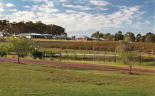 Hidden Treasure - Accommodation Mount Tamborine 6