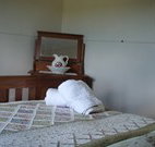 Love Me Tender - Accommodation Mount Tamborine