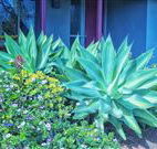 Retreat Homestead - Accommodation Mount Tamborine