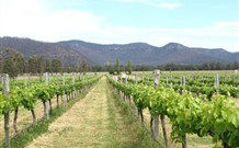 The Studio - Accommodation Mount Tamborine 7