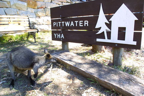 Sydney - Pittwater YHA - Accommodation Mount Tamborine 9