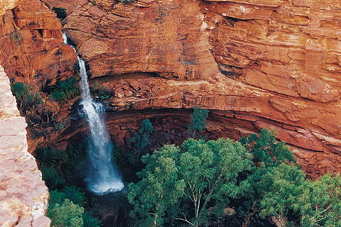 Kings Canyon Holiday Park - Accommodation Mount Tamborine 9