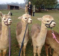 Bunyip Springs Farmstay - Accommodation Mount Tamborine