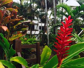 Club Tropical Resort Port Douglas - Accommodation Mount Tamborine 2
