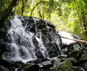 Bellthorpe Stays - Nature's Retreat - Accommodation Mount Tamborine 1
