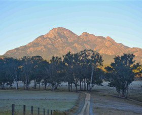 Barney Creek Vineyard Cottages - Accommodation Mount Tamborine 3
