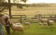 Clandulla Cottages And Farmstay - thumb 0