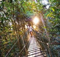 O'Reilly's Rainforest Retreat - Accommodation Mount Tamborine