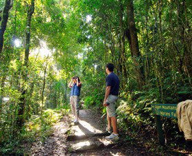 O'Reilly's Rainforest Retreat - Accommodation Mount Tamborine 2